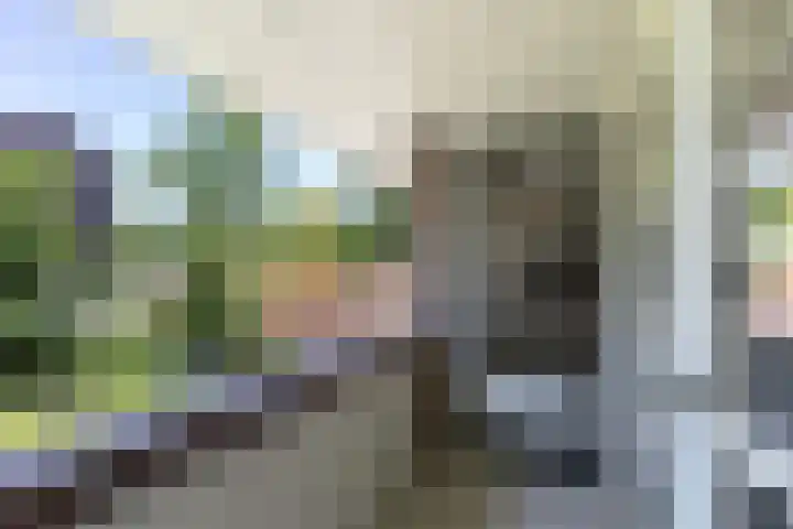 A.L.G. Bosboom-Toussaintlaan 5 Bussum thumbnail 21