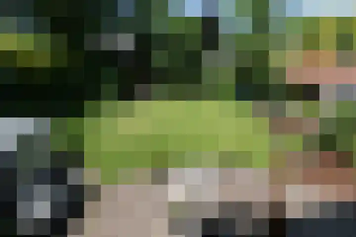A.L.G. Bosboom-Toussaintlaan 5 Bussum thumbnail 22