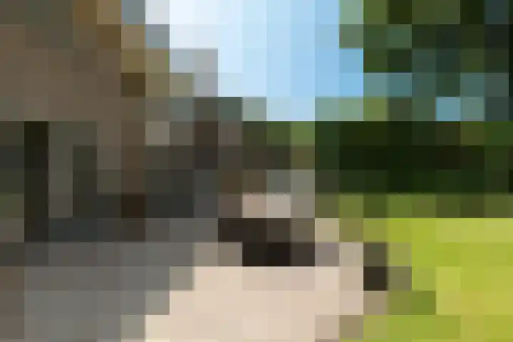 A.L.G. Bosboom-Toussaintlaan 5 Bussum thumbnail 38