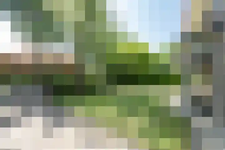 A.L.G. Bosboom-Toussaintlaan 5 Bussum thumbnail 44
