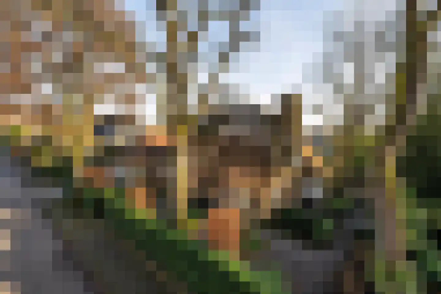 A.L.G. Bosboom-Toussaintlaan 6 Bussum thumbnail 27