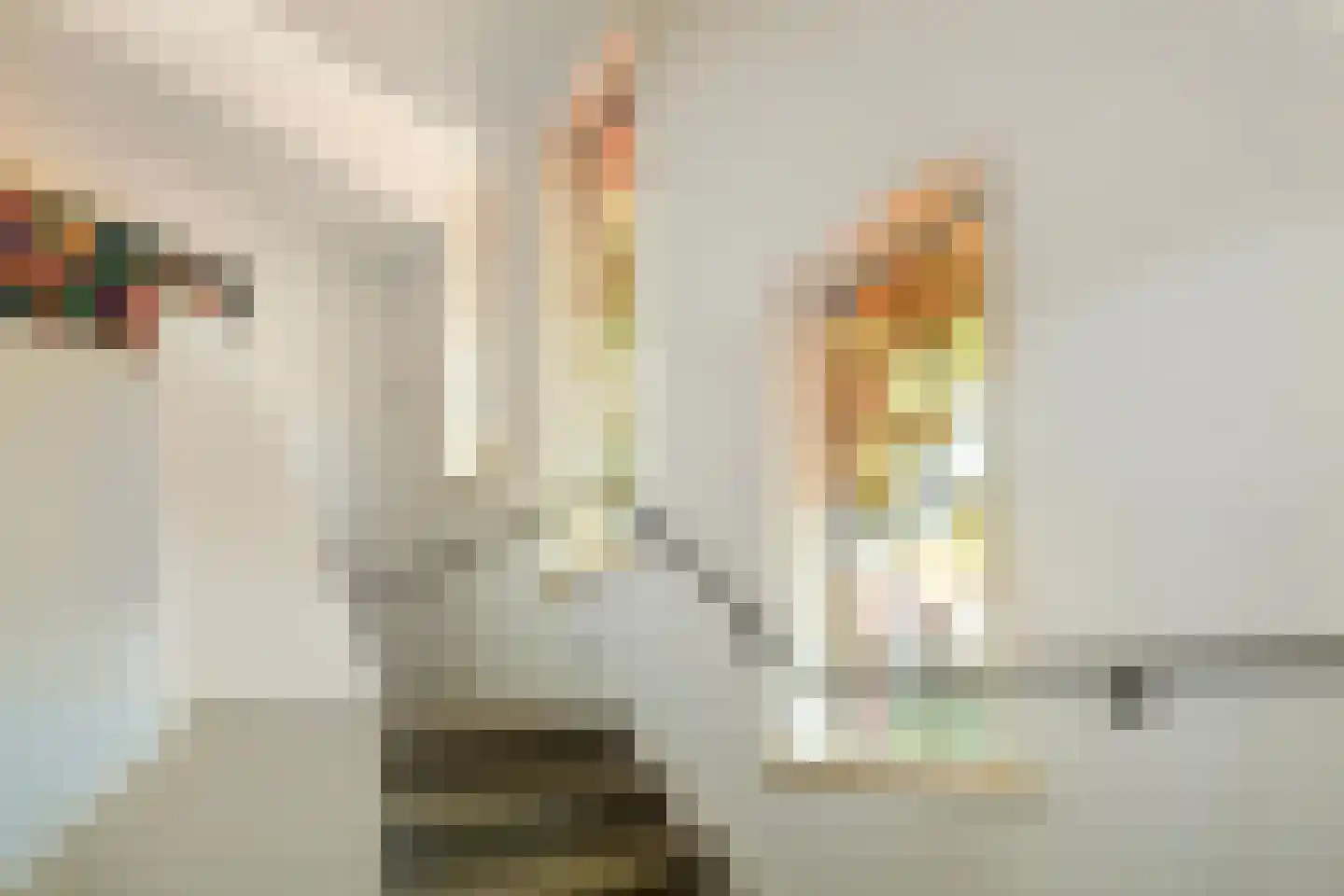 A.L.G. Bosboom-Toussaintlaan 6 Bussum thumbnail 30