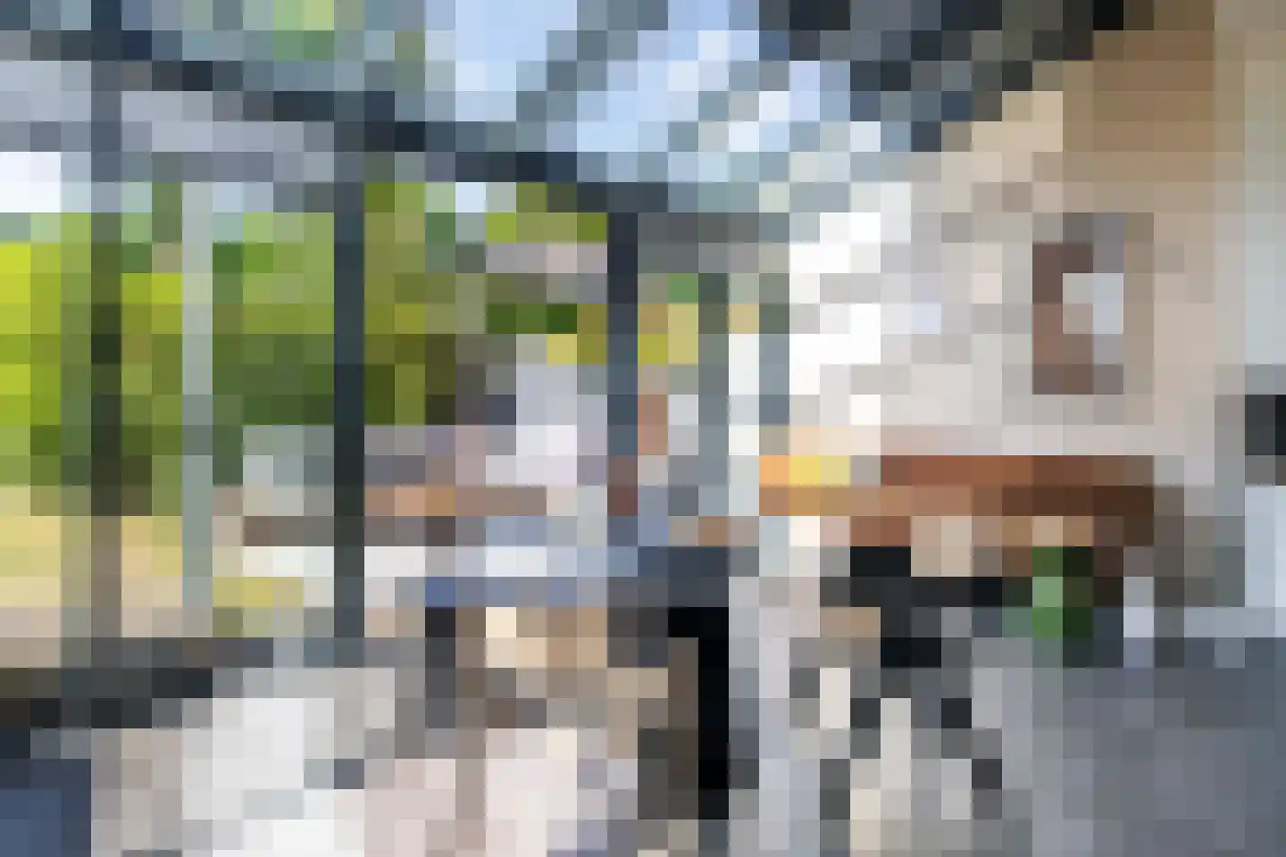 A.L.G. Bosboom-Toussaintlaan 7 Bussum thumbnail 10