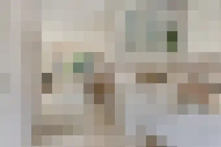 A.M. de Jonglaan 21 Delft thumbnail 18