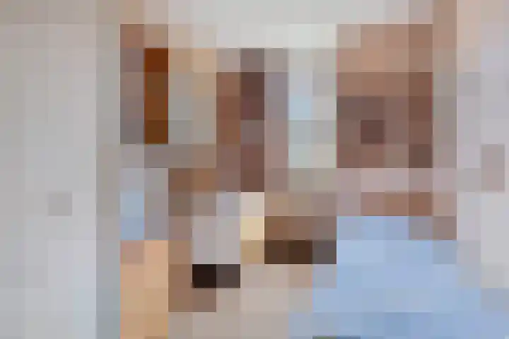 A.M. de Jonglaan 21 Delft thumbnail 25