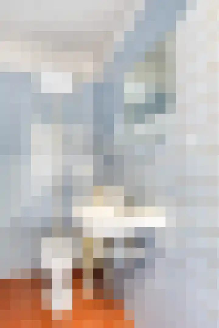 A.M. de Jonglaan 21 Delft thumbnail 29