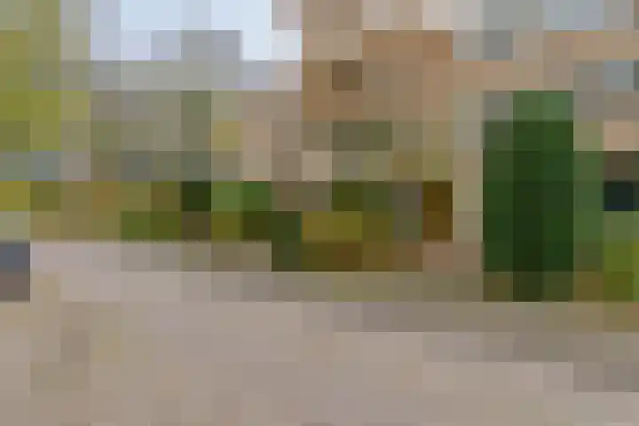 A.M. de Jonglaan 21 Delft thumbnail 4