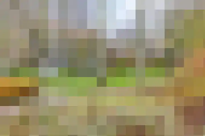 A.M. de Jonglaan 21 Delft thumbnail 45
