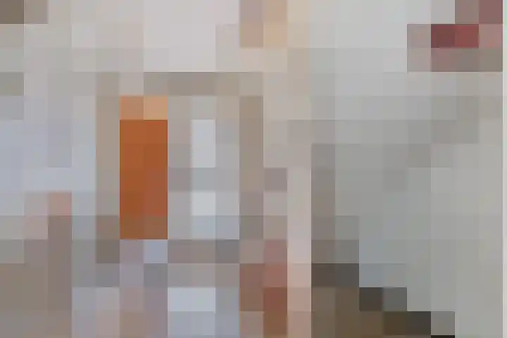 A.M. de Jonglaan 21 Delft thumbnail 7