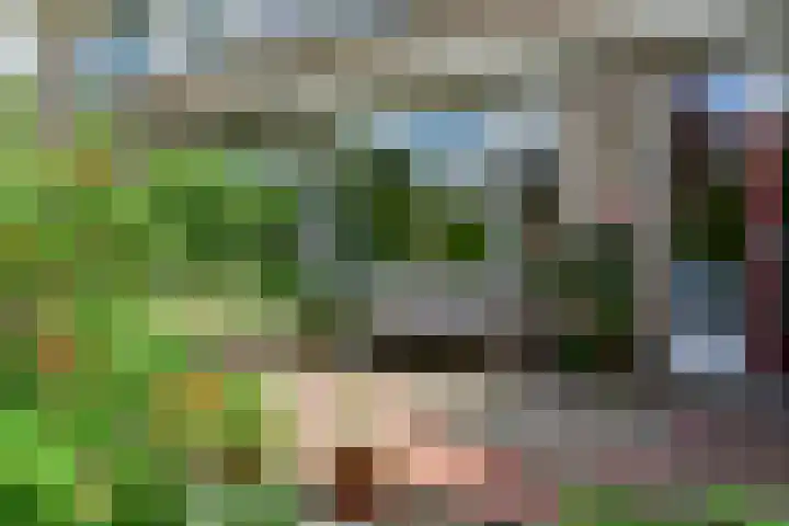 A.M. de Jonglaan 4 Uithoorn thumbnail 21