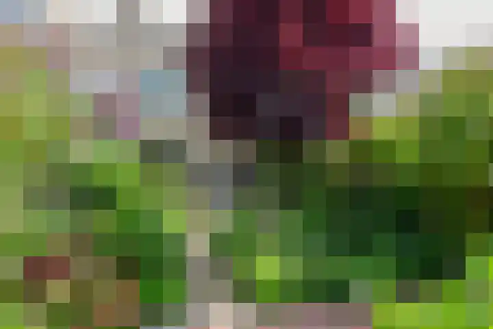 A.M. de Jonglaan 4 Uithoorn thumbnail 22