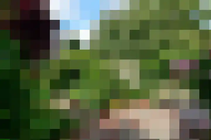 A.M. de Jonglaan 4 Uithoorn thumbnail 23