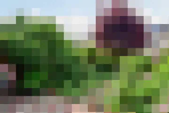 A.M. de Jonglaan 4 Uithoorn thumbnail 24