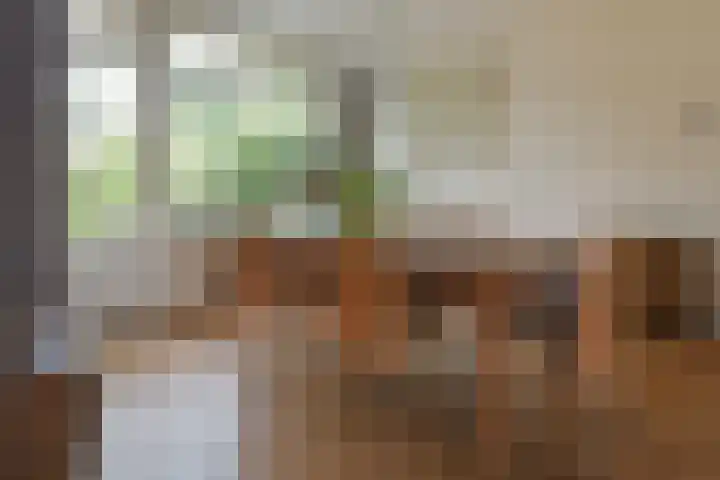 A.M. de Jonglaan 4 Uithoorn thumbnail 5