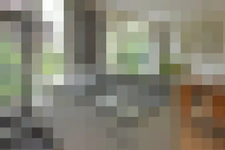 A.M. de Jonglaan 4 Uithoorn thumbnail 8