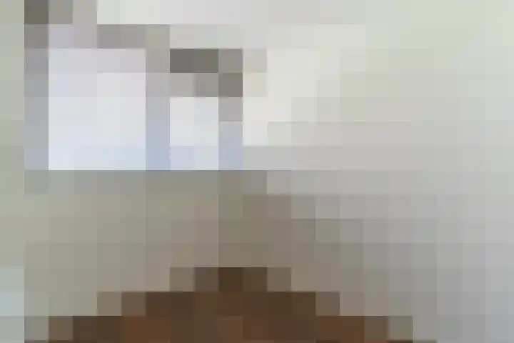 A.M. de Jonglaan 9 D Delft thumbnail 7
