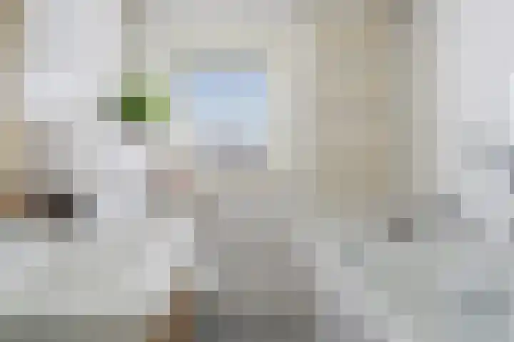 A. M. de Jongstraat 1 Etten-Leur thumbnail 25