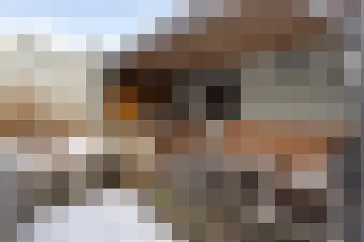 A. M. de Jongstraat 1 Etten-Leur thumbnail 32
