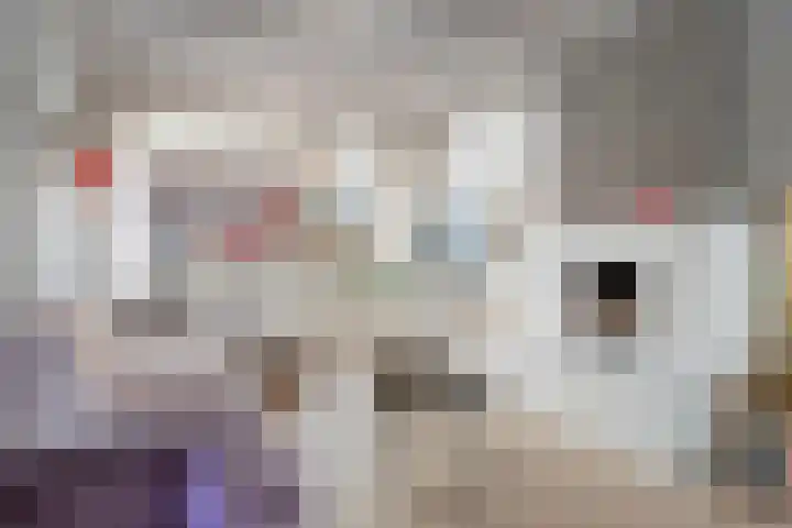 A. M. de Jongstraat 1 Etten-Leur thumbnail 6