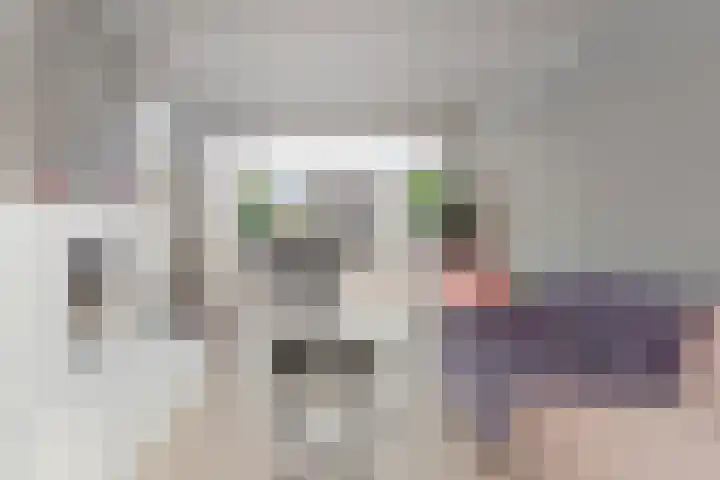 A. M. de Jongstraat 1 Etten-Leur thumbnail 7