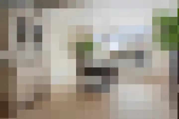A. M. de Jongstraat 1 Etten-Leur thumbnail 8