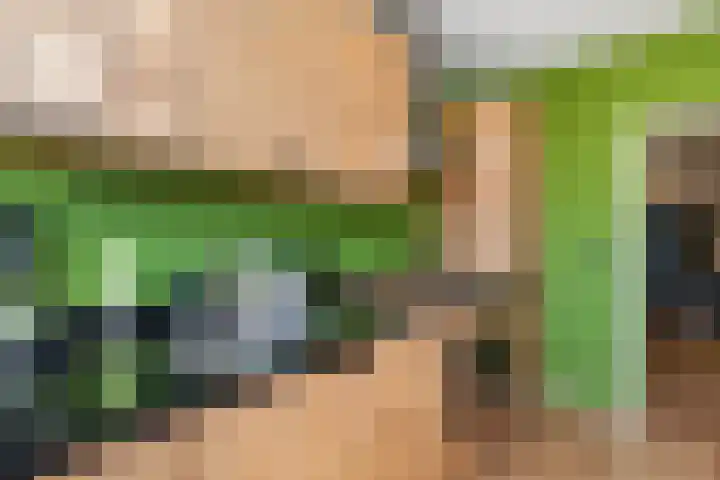 A.M. de Jongstraat 113 Ridderkerk thumbnail 13