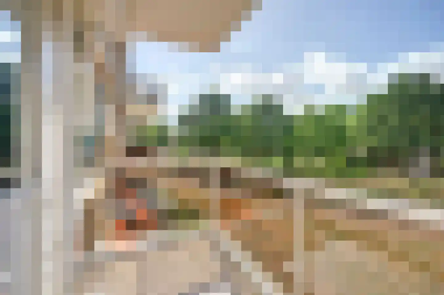 A.M. de Jongstraat 127 Ridderkerk thumbnail 13