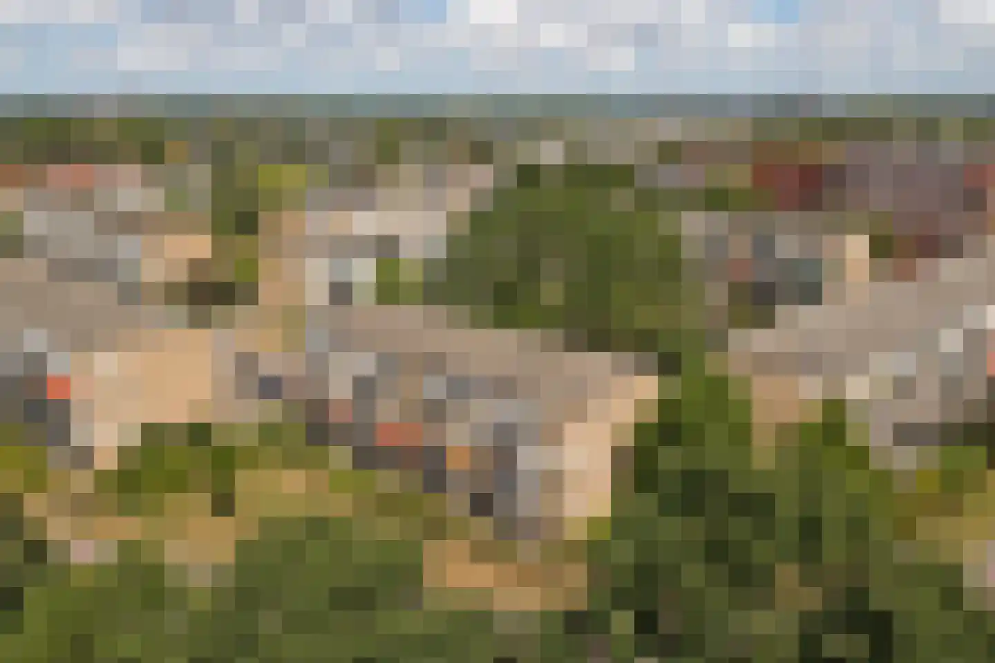 A.M. de Jongstraat 127 Ridderkerk thumbnail 29