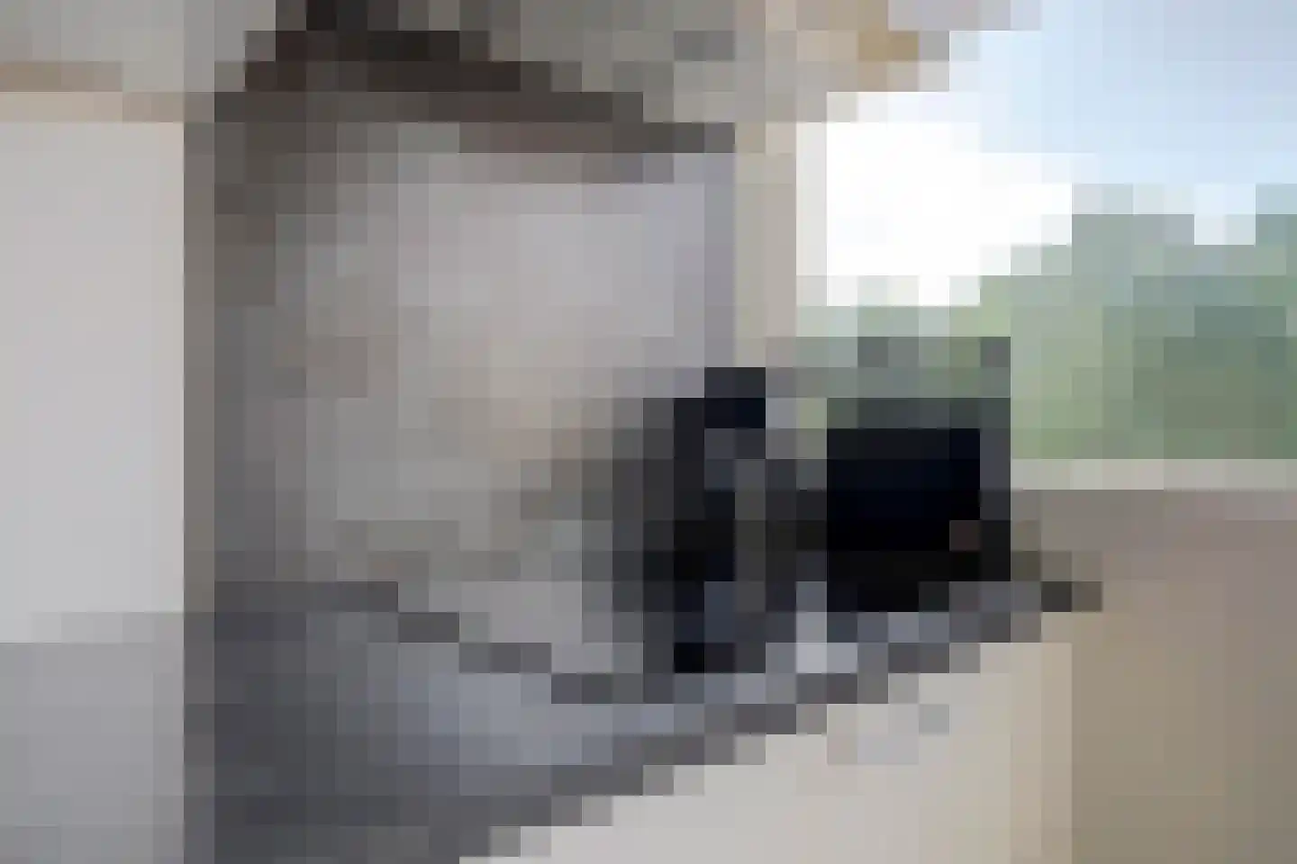 A.M. de Jongstraat 127 Ridderkerk thumbnail 9
