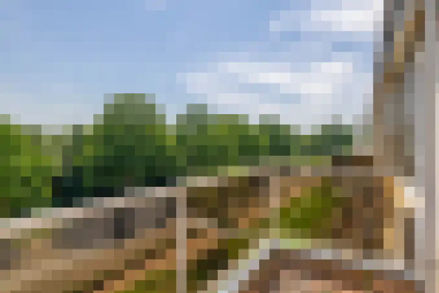 A.M. de Jongstraat 15 Ridderkerk thumbnail 14