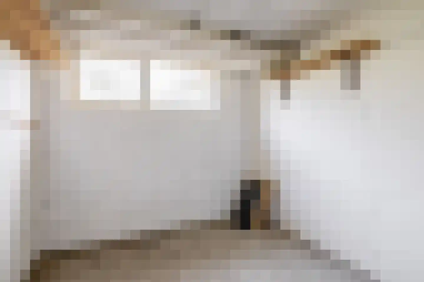 A.M. de Jongstraat 15 Ridderkerk thumbnail 28