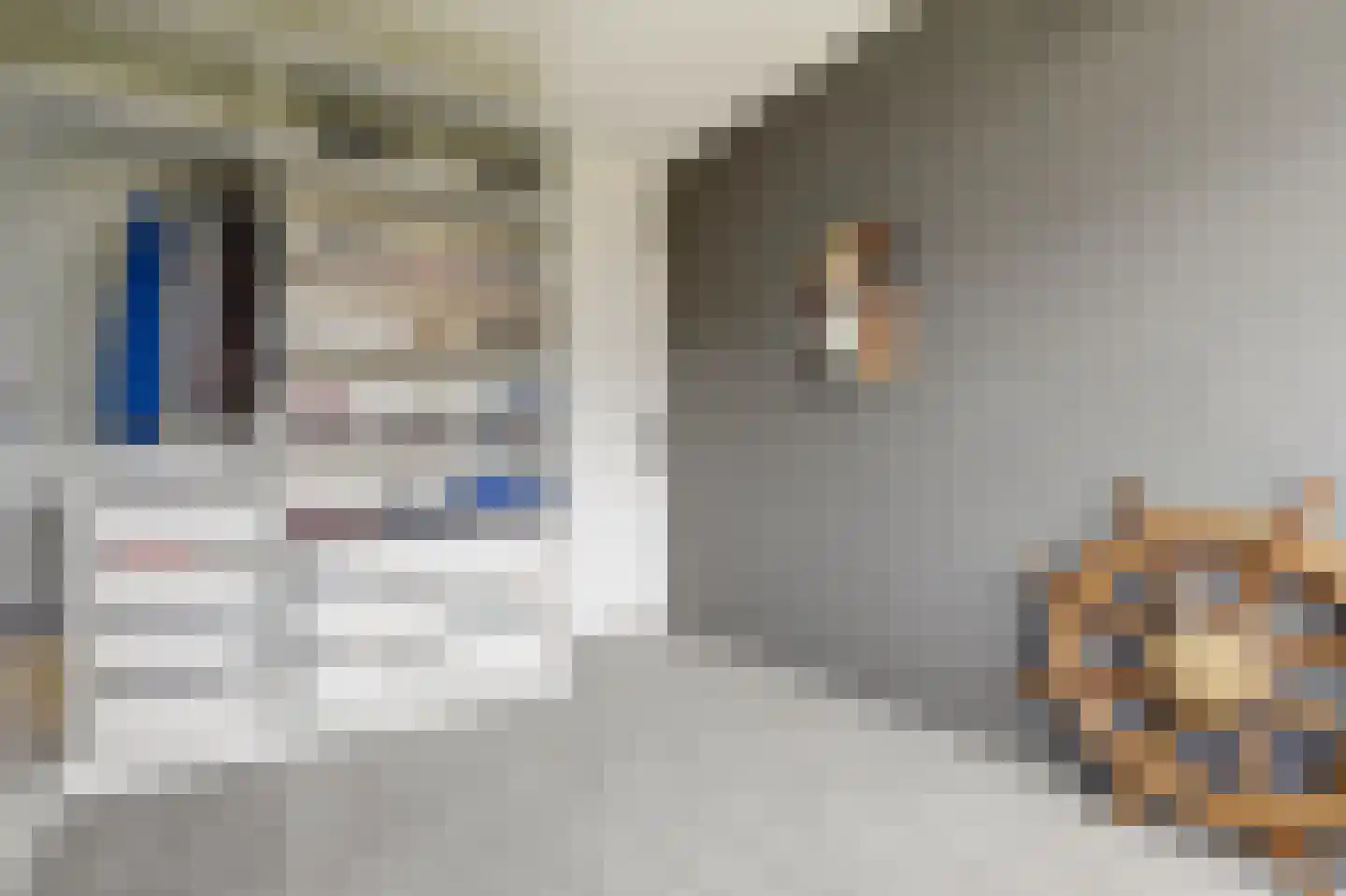 A.M. de Jongstraat 16 Ridderkerk thumbnail 21