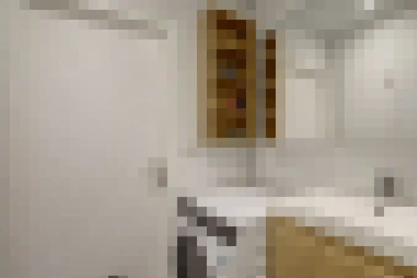 A.M. de Jongstraat 16 Ridderkerk thumbnail 24