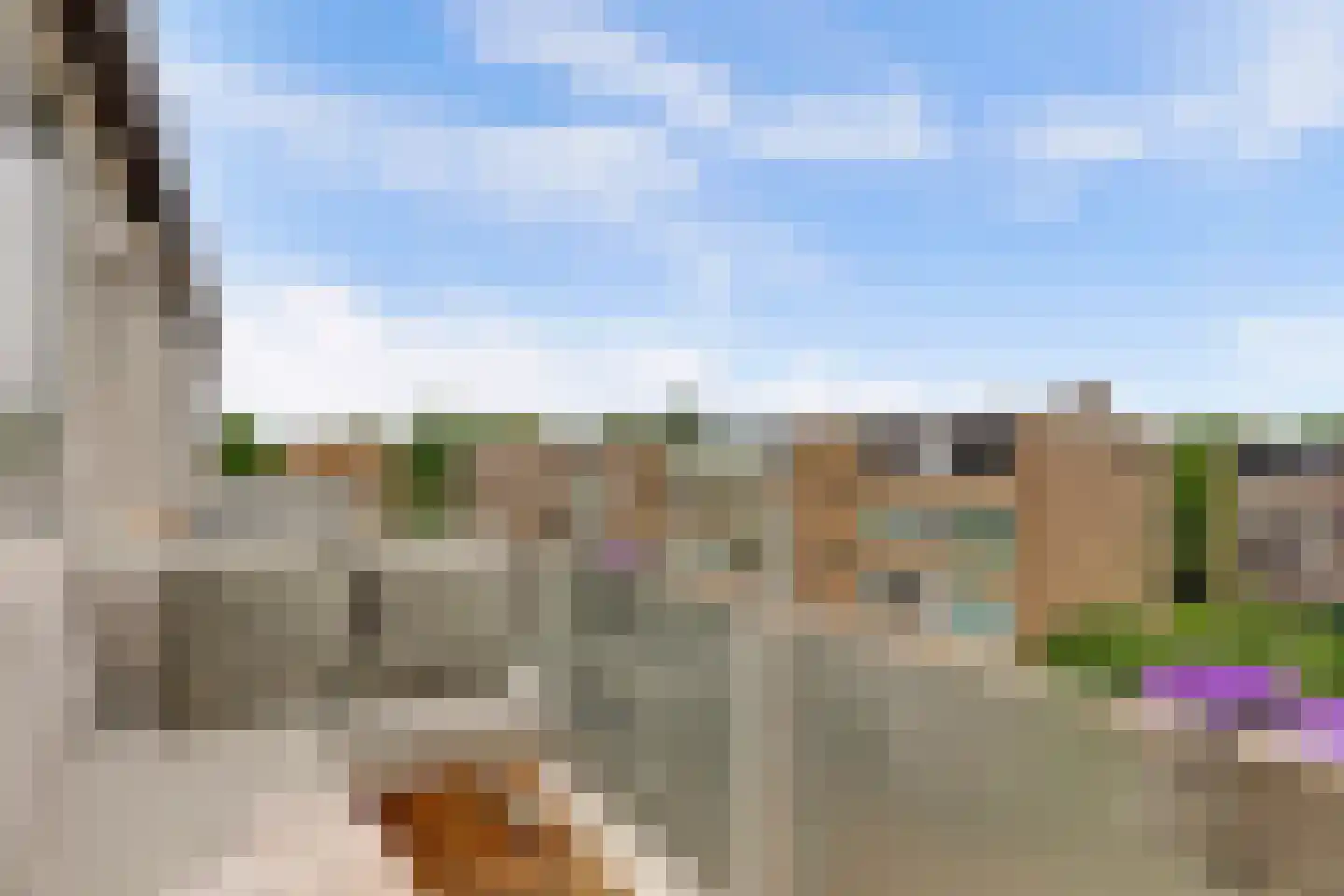 A.M. de Jongstraat 16 Ridderkerk thumbnail 25