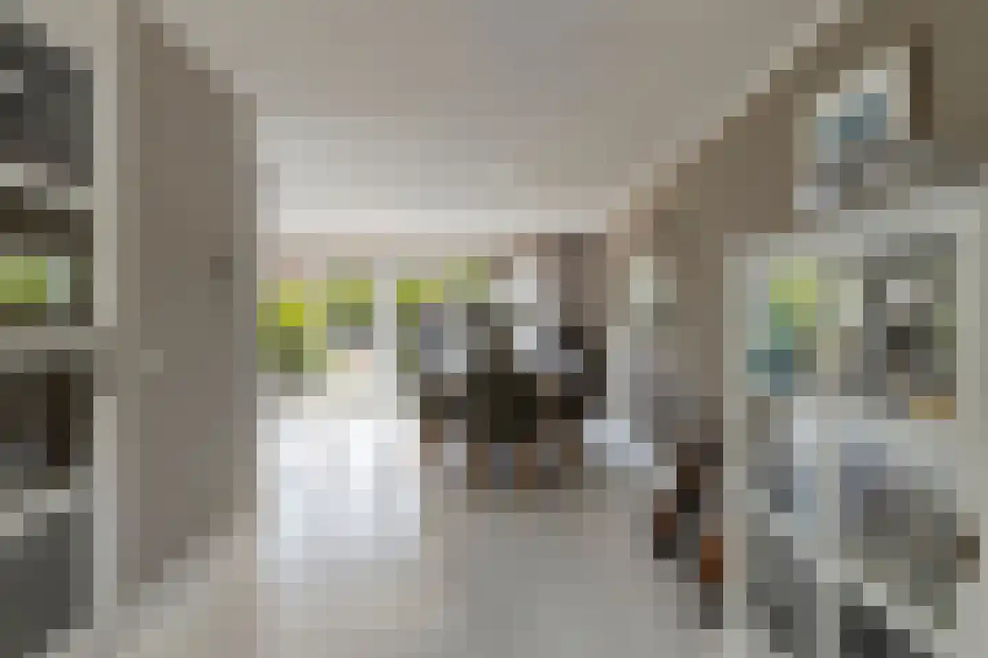 A.M. de Jongstraat 18 Sommelsdijk thumbnail 11