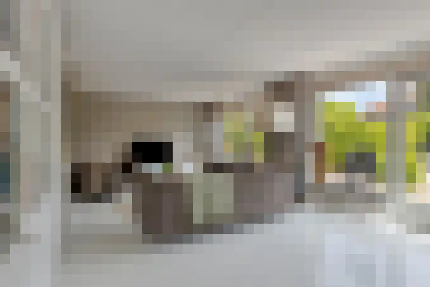 A.M. de Jongstraat 18 Sommelsdijk thumbnail 12