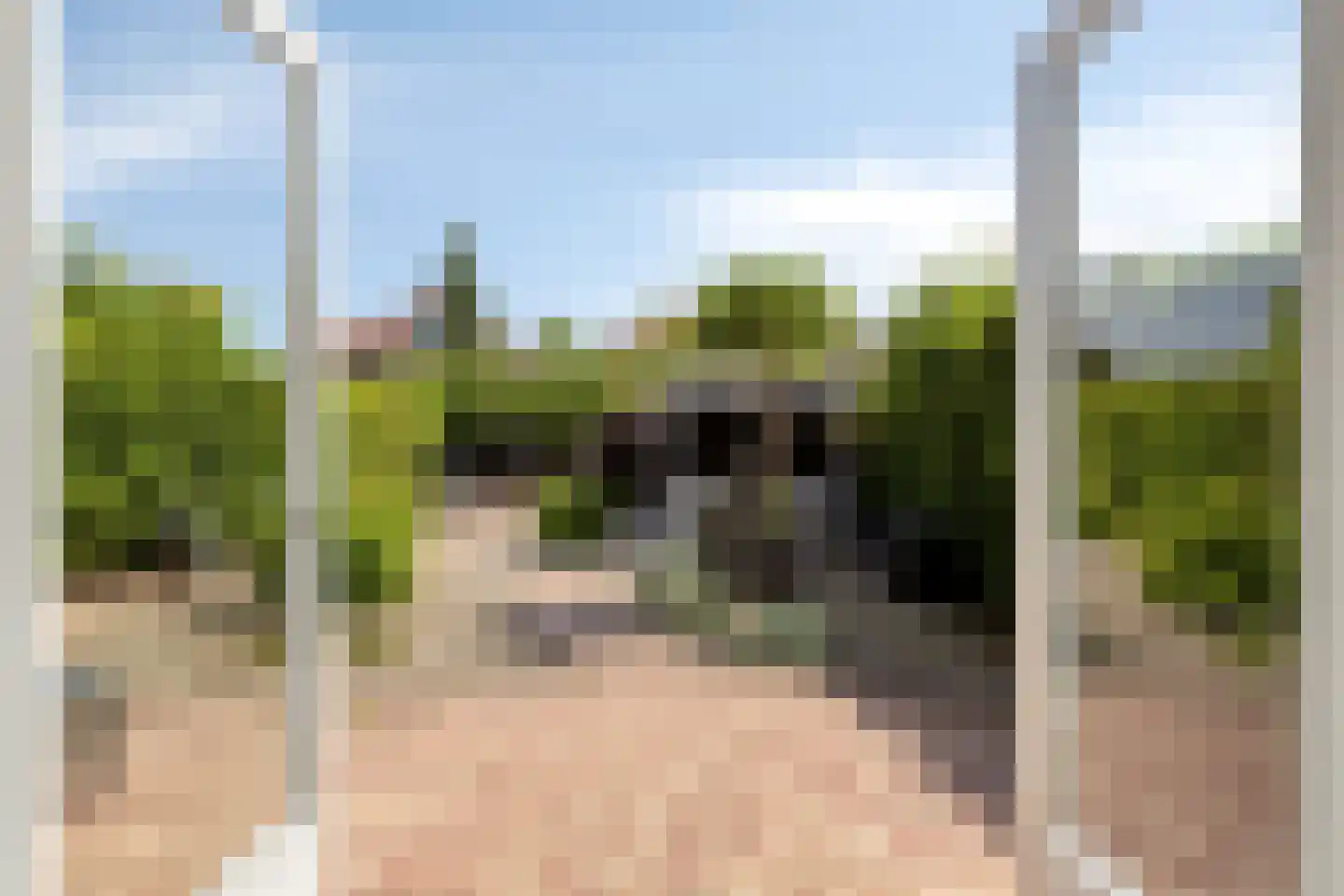 A.M. de Jongstraat 18 Sommelsdijk thumbnail 37