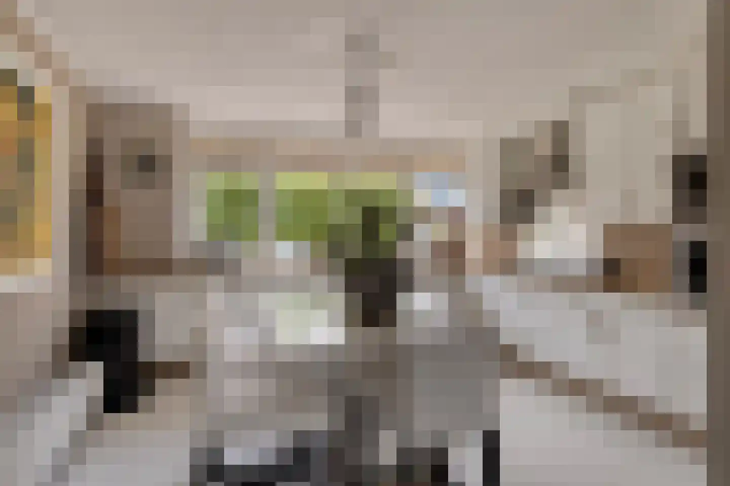 A.M. de Jongstraat 18 Sommelsdijk thumbnail 4