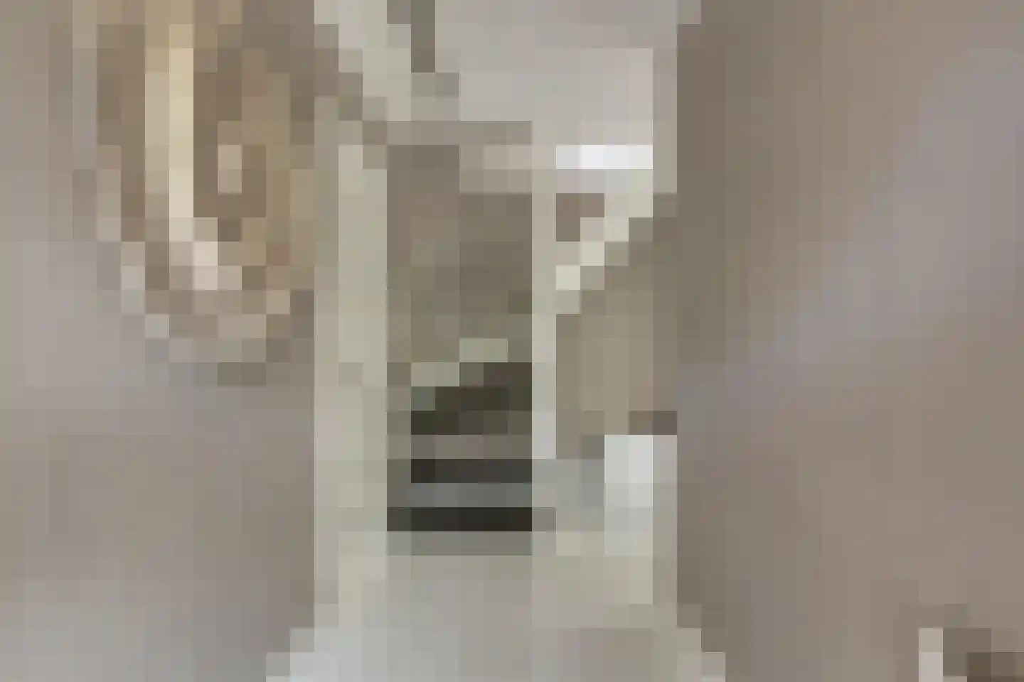 A.M. de Jongstraat 18 Sommelsdijk thumbnail 9