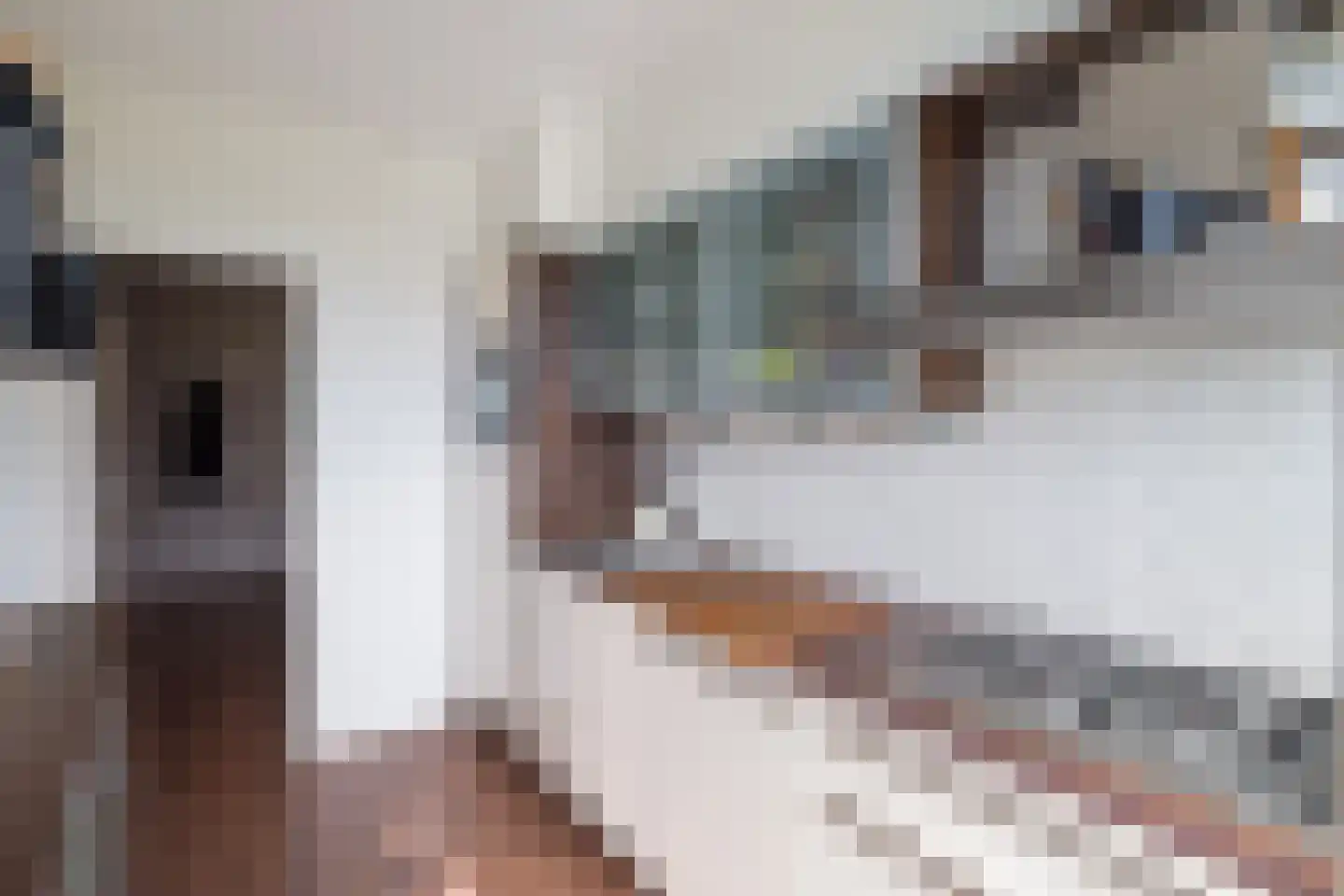 A.M. de Jongstraat 227 Ridderkerk thumbnail 20