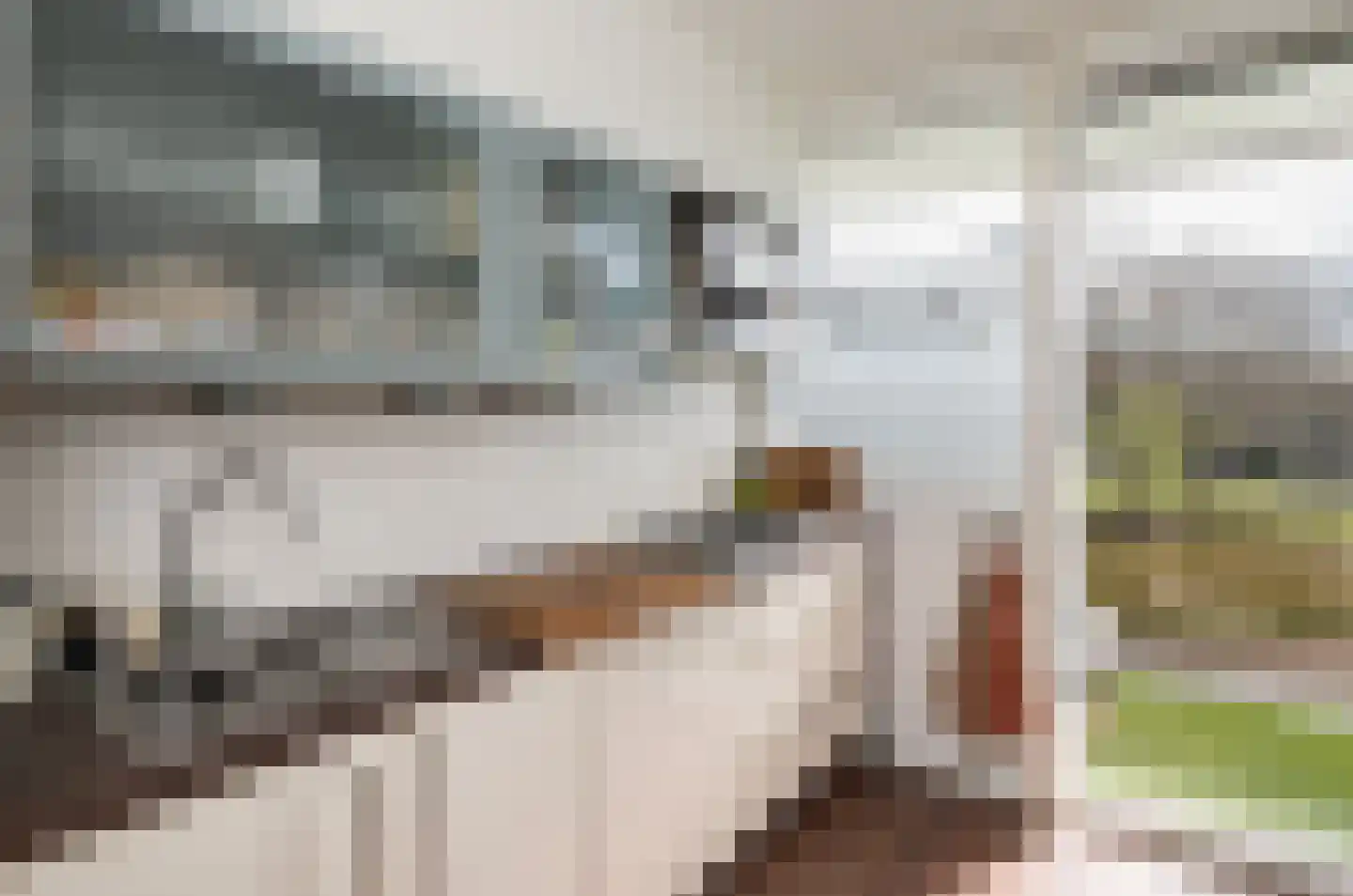 A.M. de Jongstraat 227 Ridderkerk thumbnail 21