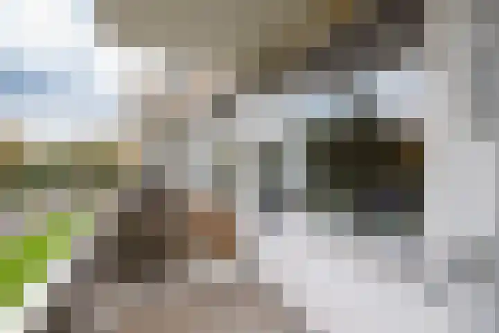 A.M. de Jongstraat 27 Ridderkerk thumbnail 11