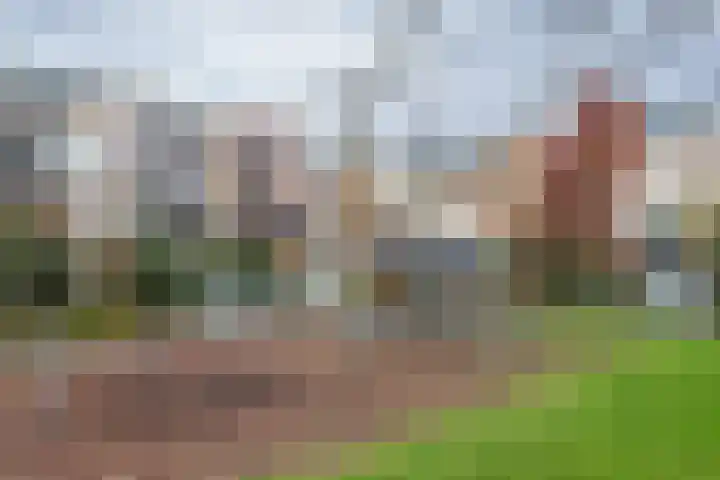 A.M. de Jongstraat 27 Ridderkerk thumbnail 25
