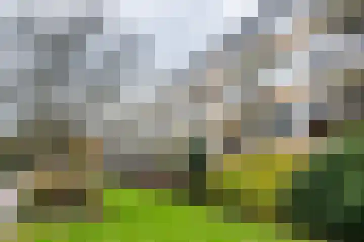 A.M. de Jongstraat 27 Ridderkerk thumbnail 26