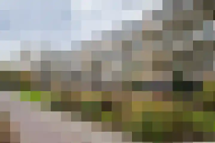 A.M. de Jongstraat 27 Ridderkerk thumbnail 27