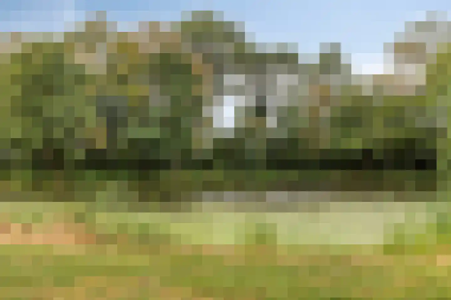 A.M. de Jongstraat 34 Spijkenisse thumbnail 25