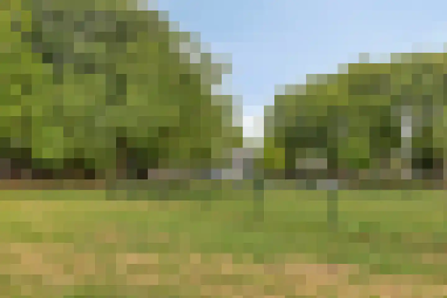 A.M. de Jongstraat 34 Spijkenisse thumbnail 26