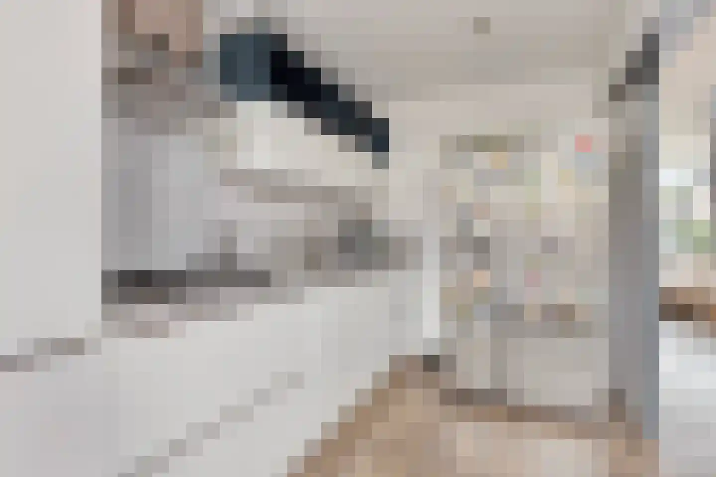 A.M. de Jongstraat 34 Spijkenisse thumbnail 7