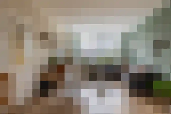 A.M. de Jongstraat 38 Spijkenisse thumbnail 11