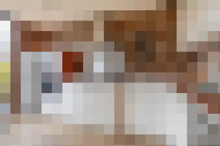 A.M. de Jongstraat 38 Spijkenisse thumbnail 21